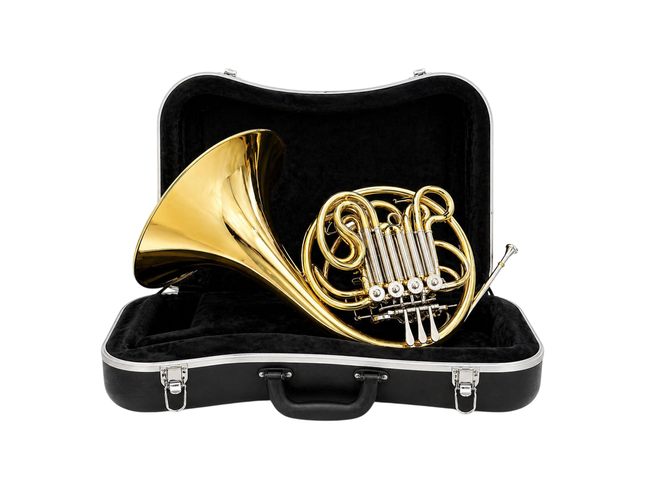 horn image 1