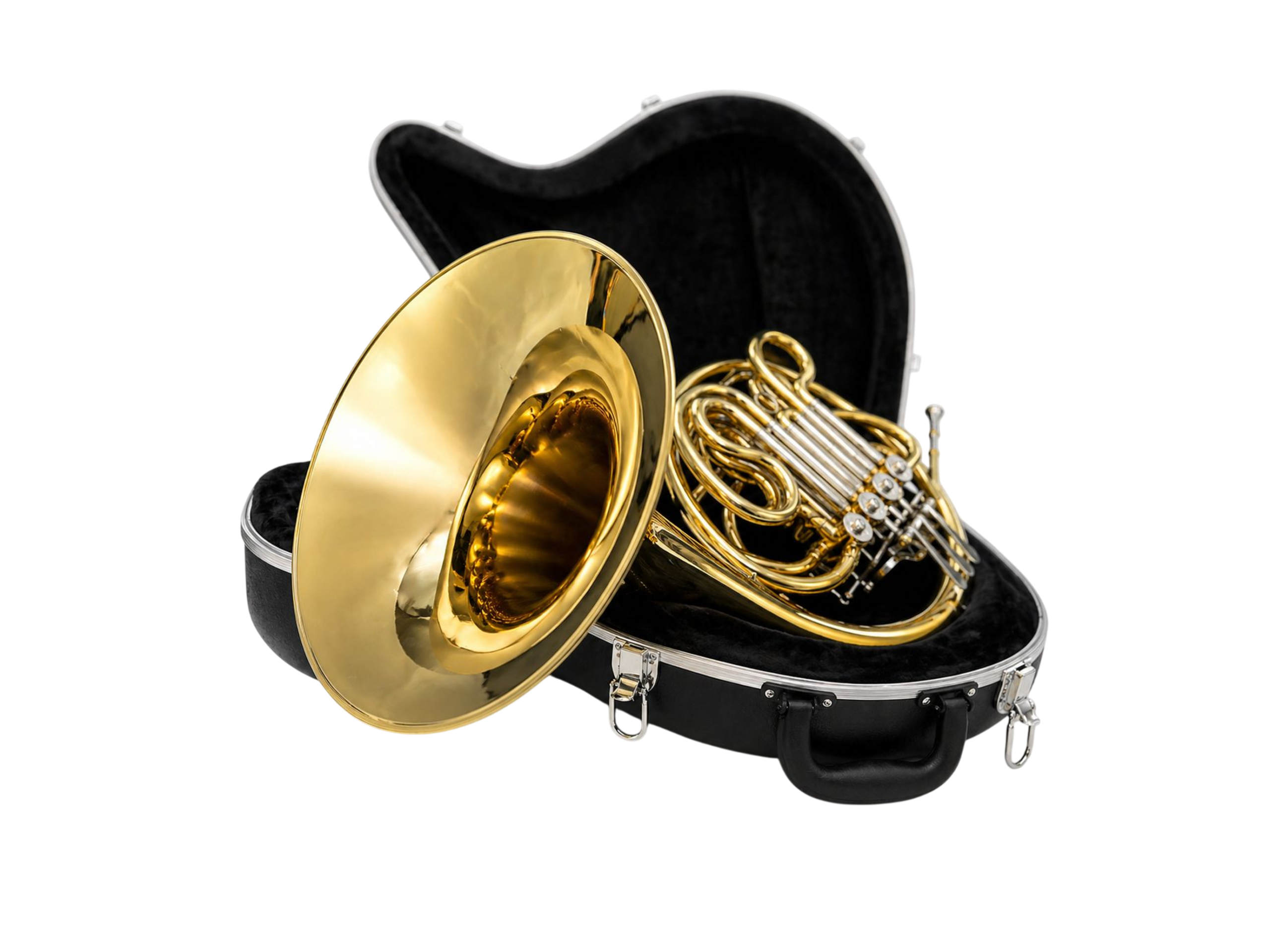 horn image 3