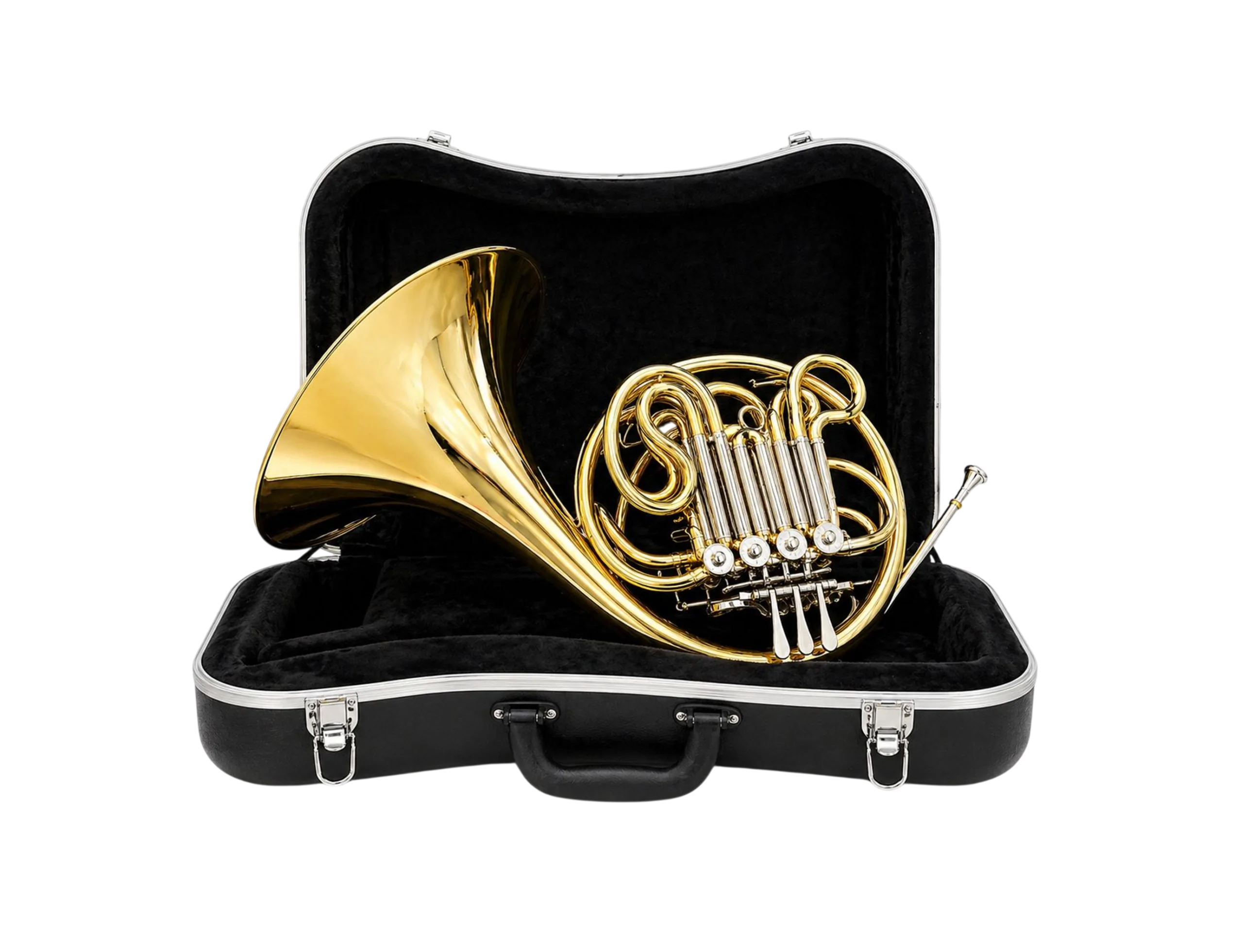 horn image 1