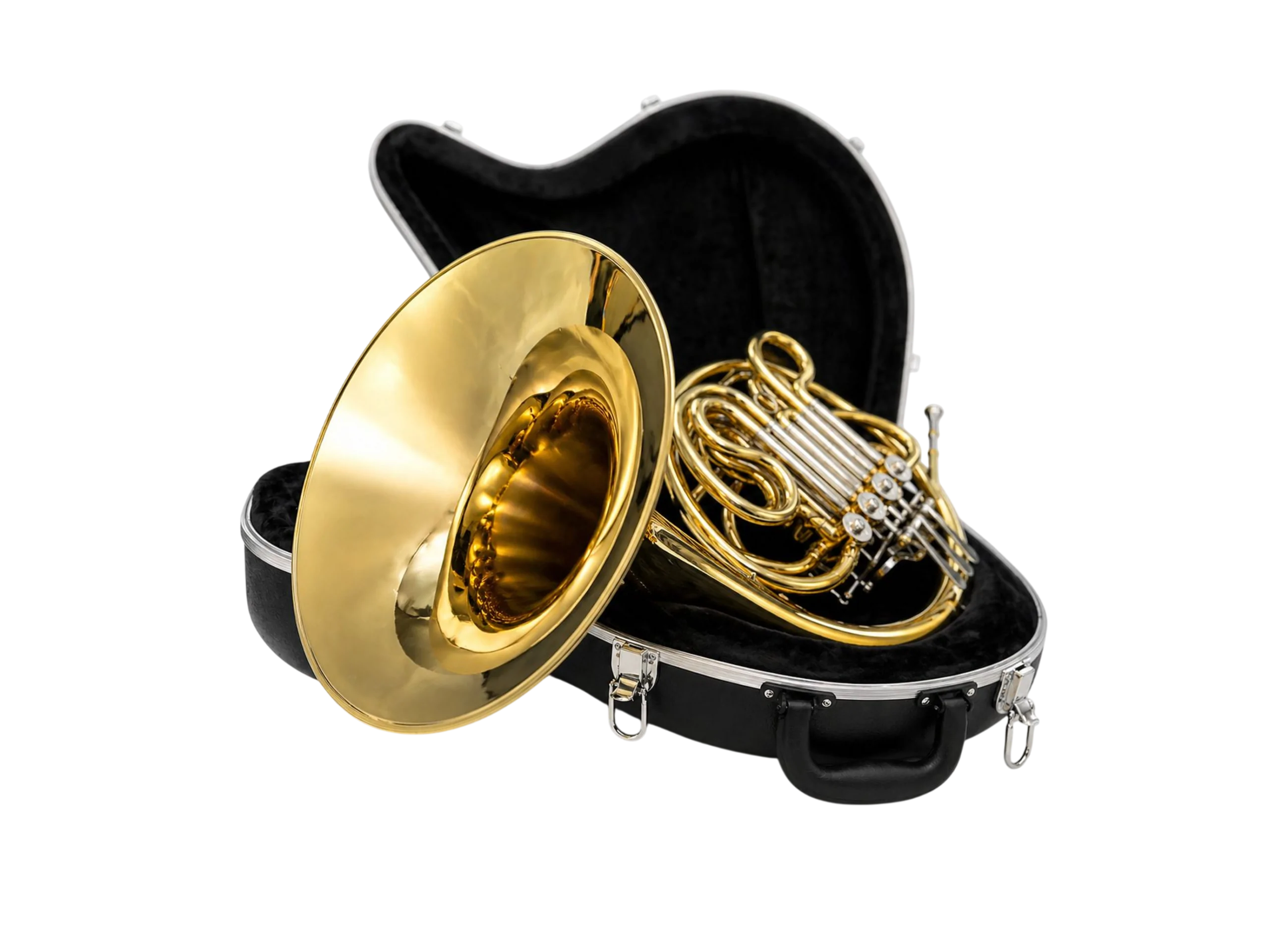 horn image 3